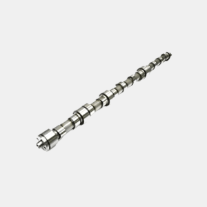 KĀPURĶĒŽU 3306 sadales vārpsta 4P2942