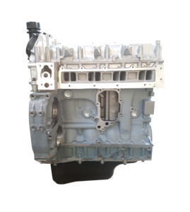 IVECO/FPT F1CE0441 - DAILY CNG (12000) Dzinēja bloks ar iekšējiem komponentiem un galvu (JAUNS) IVECO/FPT F1CE0441 - DAILY CNG (12000) Dzinēja bloks ar iekšējiem komponentiem un galvu (JAUNS)