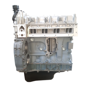 IVECO/FPT F1CE0441 - DAILY CNG (12000) Dzinēja bloks ar iekšējiem komponentiem un galvu (JAUNS)