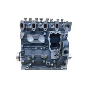 IVECO / FPT F4GE0484C*D650 - 4 CYL.motora bloks ar iekšējām sastāvdaļām un galvu (NEW) IVECO / FPT F4GE0484C*D650 - 4 CYL.motora bloks ar iekšējām sastāvdaļām un galvu (NEW)